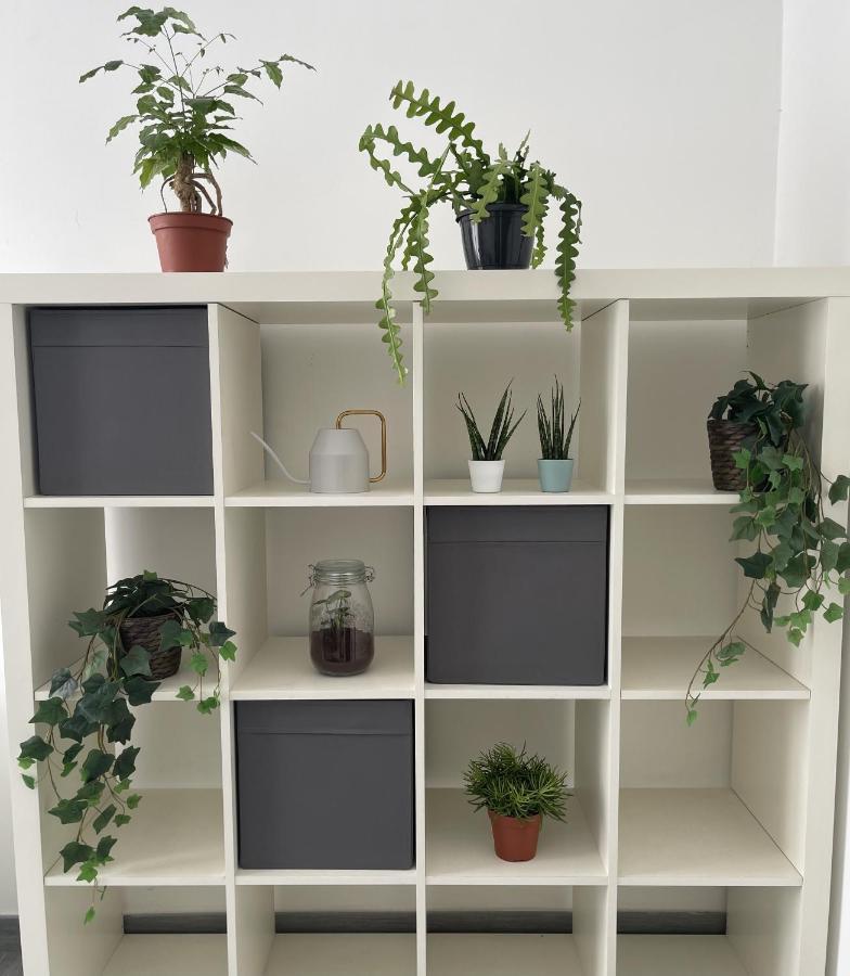 Ami House Roma Apartment Luaran gambar